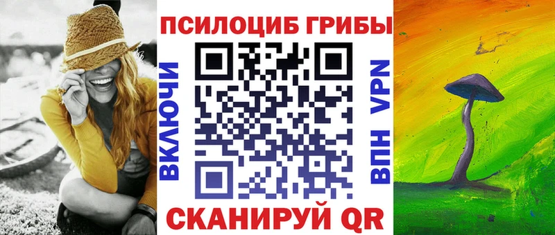 Псилоцибиновые грибы Psilocybine cubensis  Глазов 